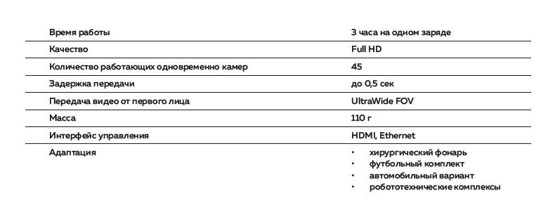 Салангана-В.jpg
