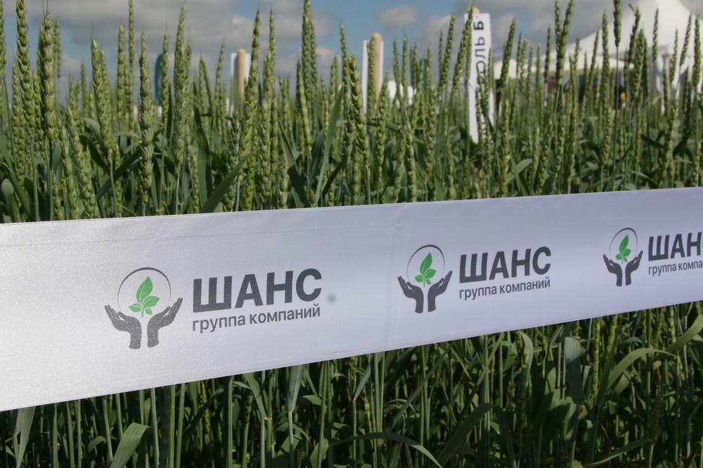 ГК «Шанс» 